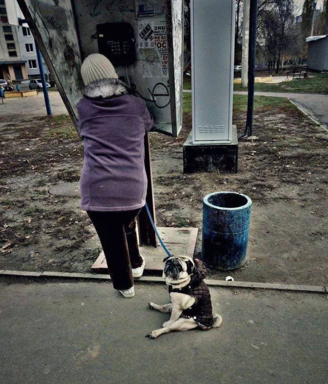Picdump 242 - #11 Picdump 242 - #11