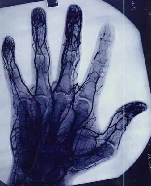 Le top des images rarement vus - #10 