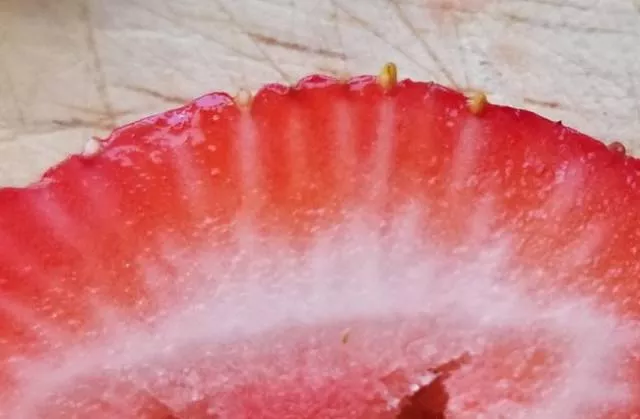 The top rarely seen images - #19 