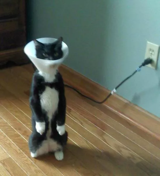 Picdump 244 - #1 