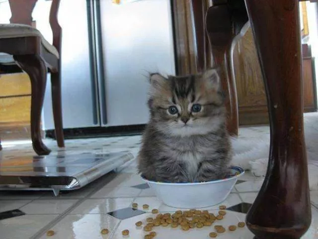 Picdump 244 - #33 