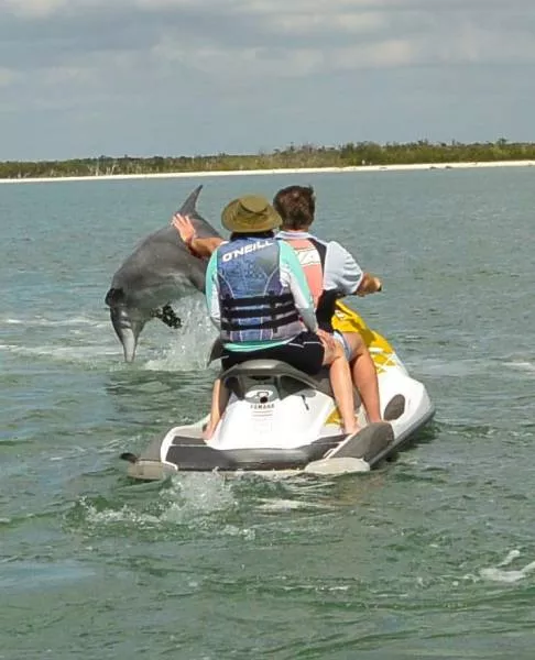 Picdump 244 - #38 