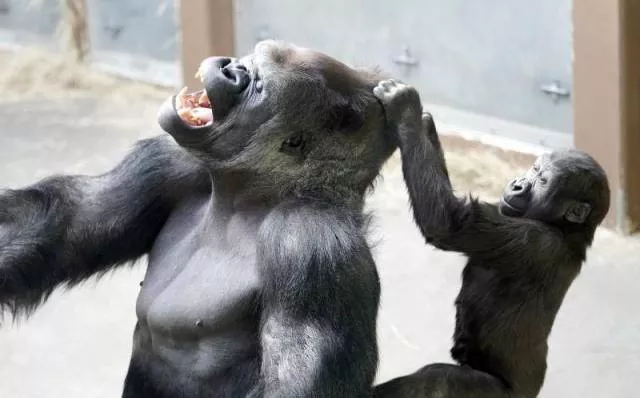 Picdump 244 - #55 