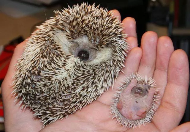 Picdump 244 - #57 