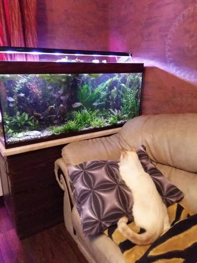 Picdump 244 - #58 