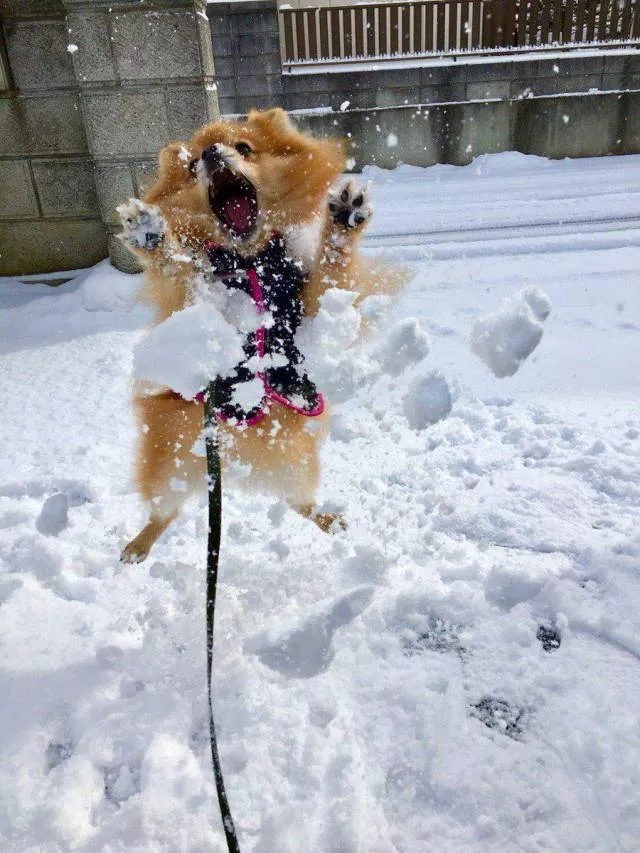 Picdump 244 - #64 