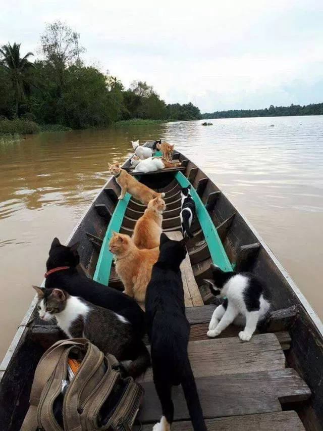 Picdump 244 - #68 