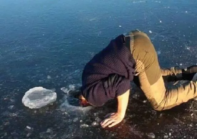 Picdump 244 - #86 
