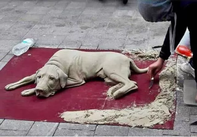Picdump 244 - #97 