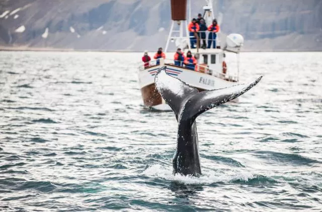 Natural wonders in iceland - #7 