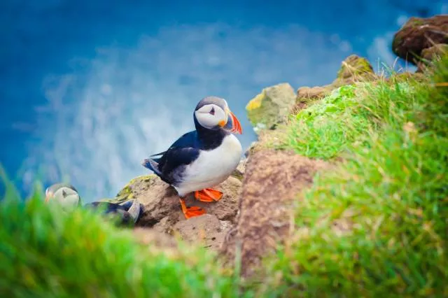 Les merveilles naturelles en islande - #8 
