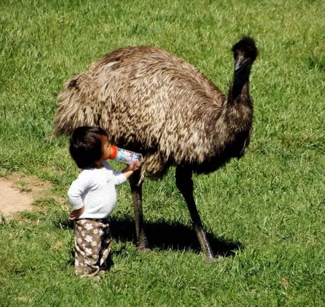 Picdump 245 - #10 