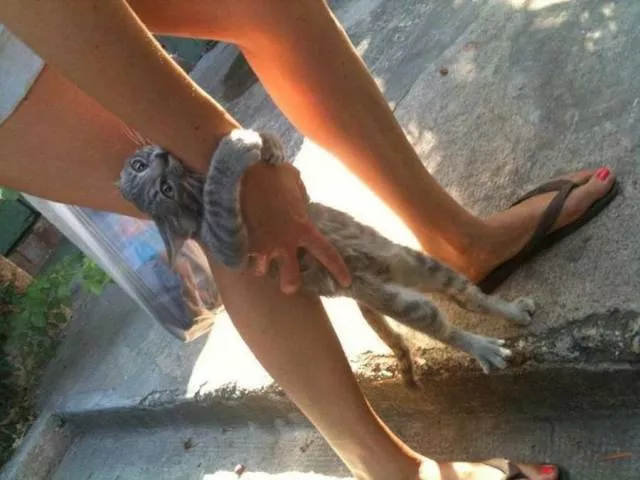 Picdump 245 - #24 
