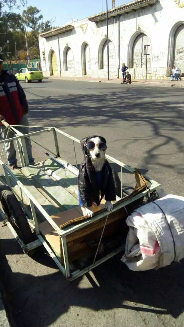 Picdump 245 - #32 