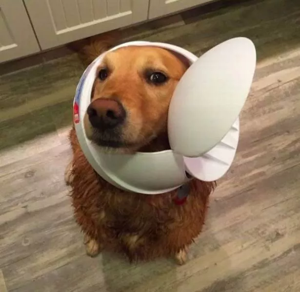 Picdump 245 - #43 
