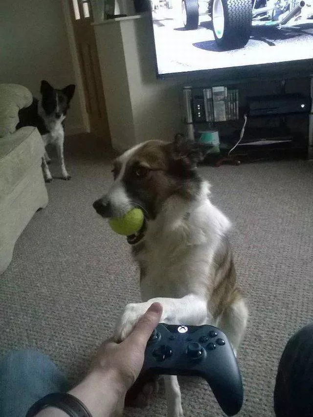 Picdump 245 - #5 