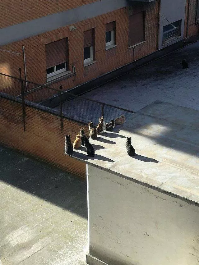 Picdump 245 - #6 