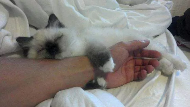 Picdump 245 - #72 
