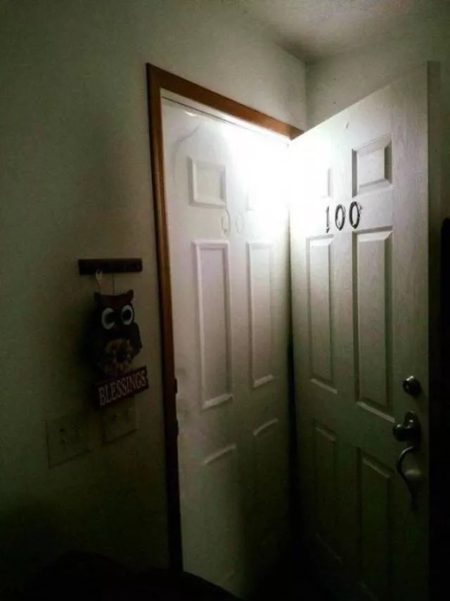 Picdump 245 - #81 