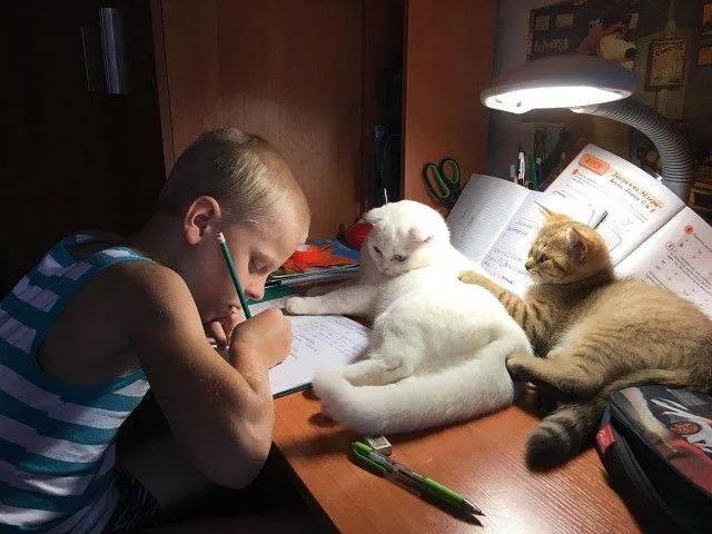 Picdump 245 - #86 