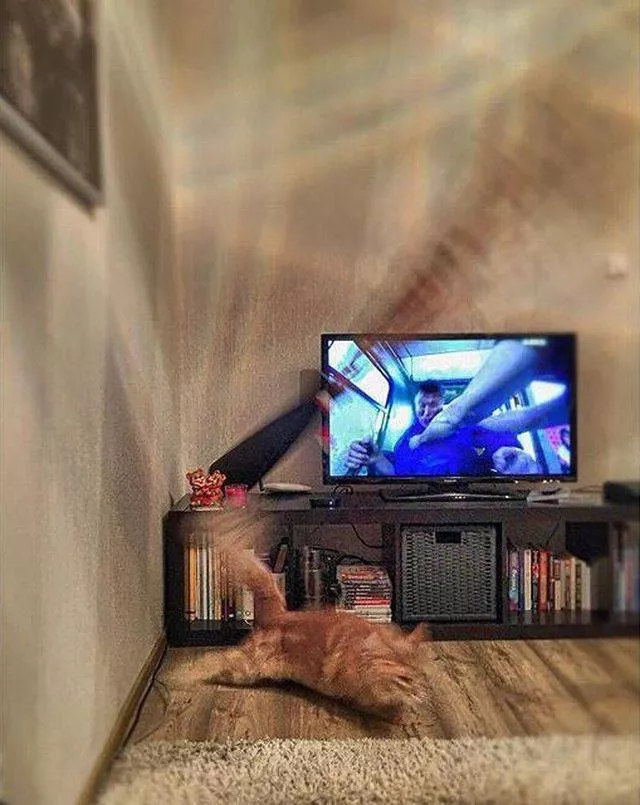 Picdump 245 - #89 