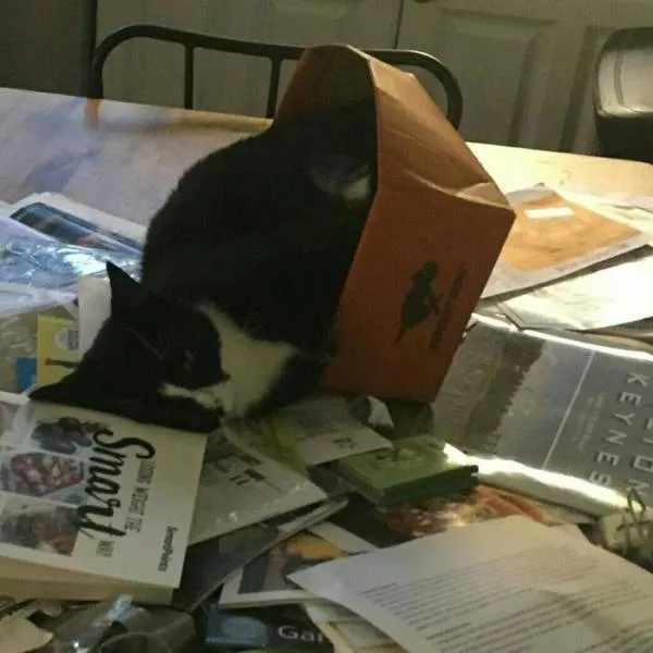 Picdump 246 - #19 