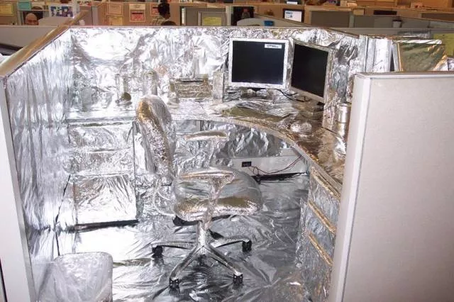 Picdump 246 - #31 