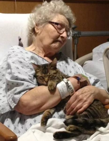 Chats pas comme les autres - #25 