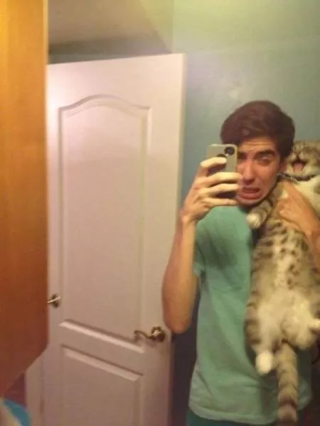 Chats pas comme les autres - #26 