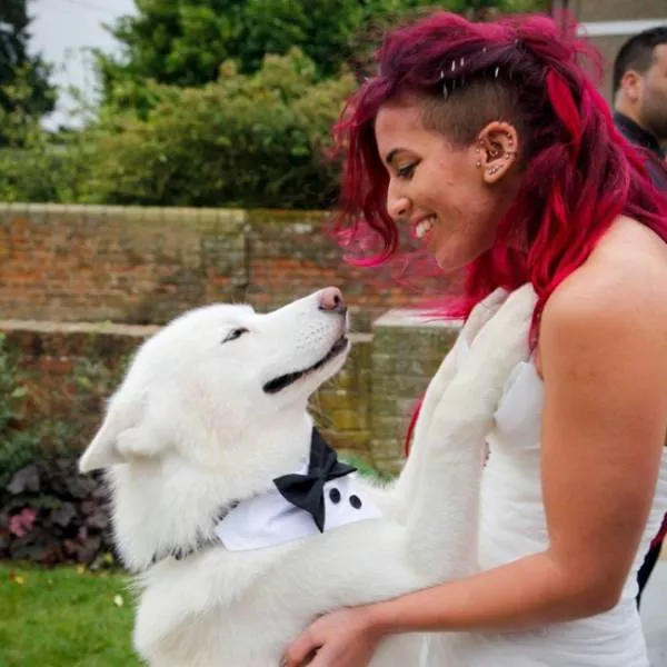 Les meilleures photos de chiens droles - #3 