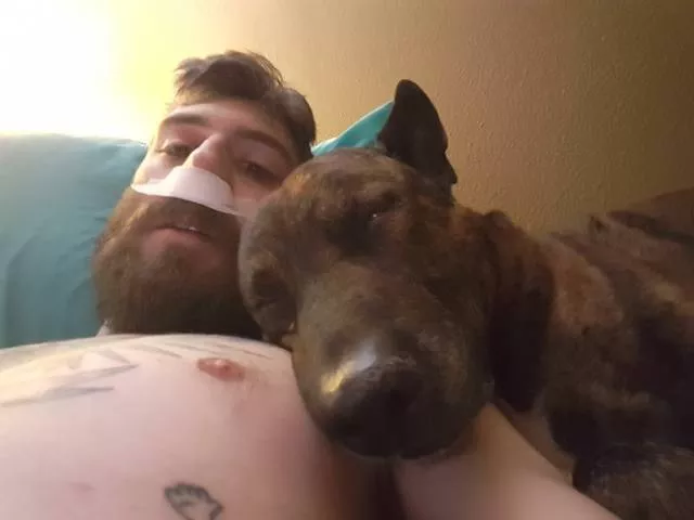 Les meilleures photos de chiens droles - #4 