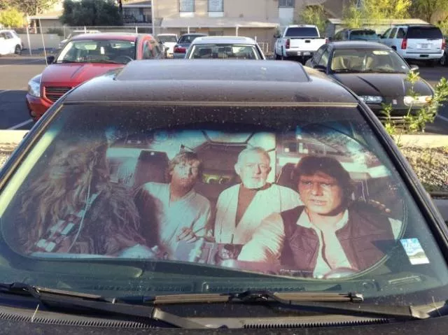Awesome pics to start your day right - #24 