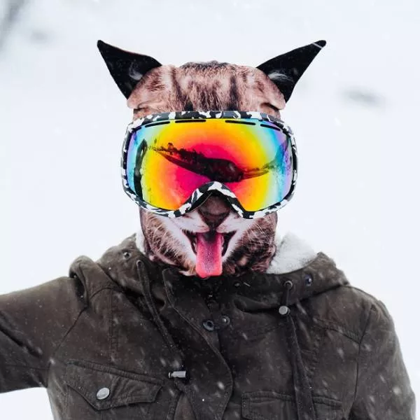 Awesome pics to start your day right - #26 