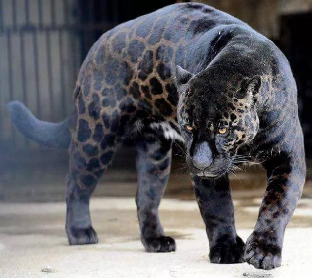 Awesome pics to start your day right - #32 