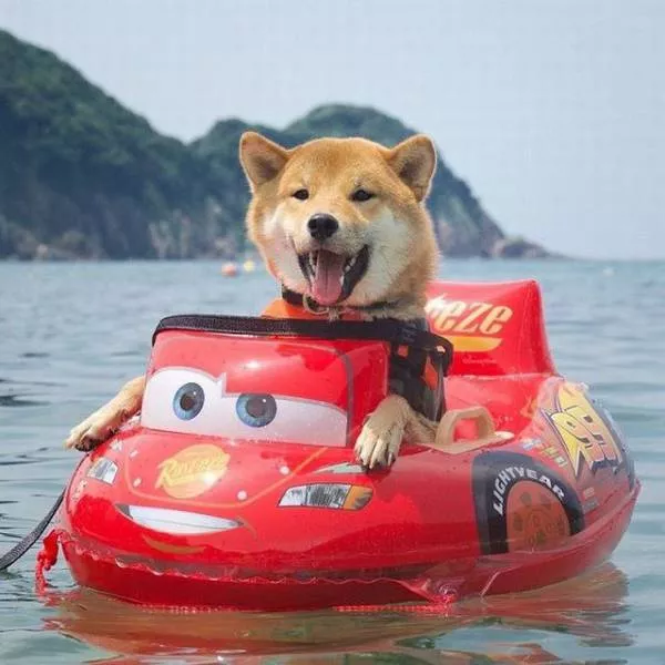 Picdump 247 - #100 