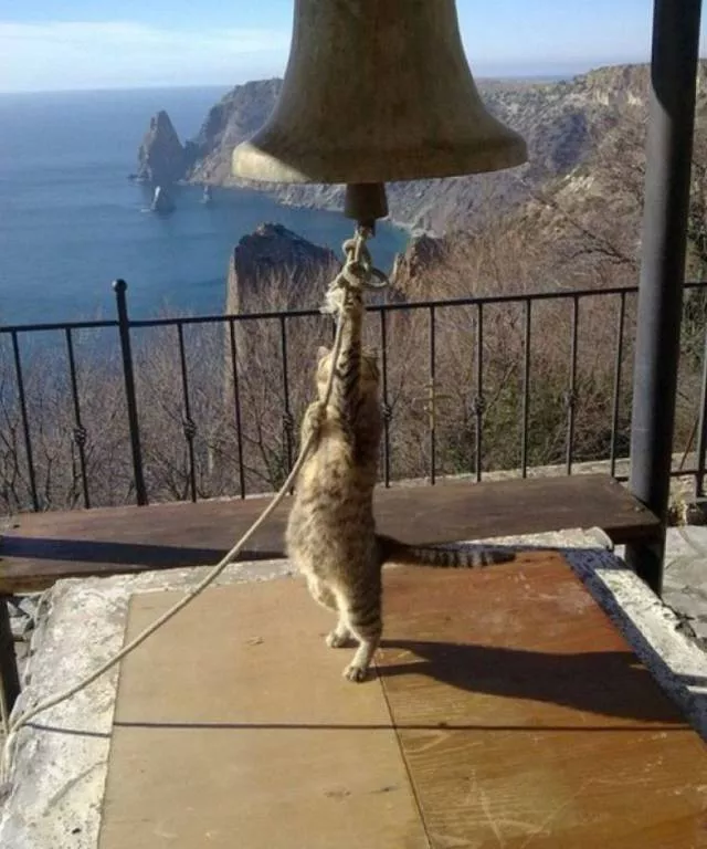 Picdump 247