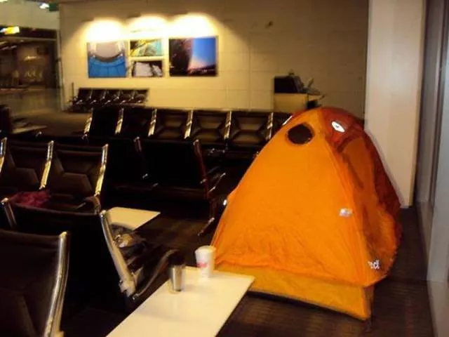 Picdump 247 - #31 