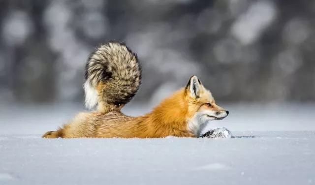 Picdump 247 - #60 