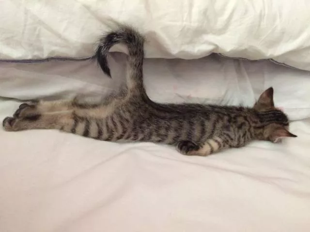 Picdump 247 - #71 
