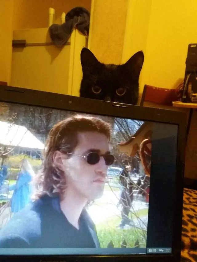 Picdump 247 - #72 