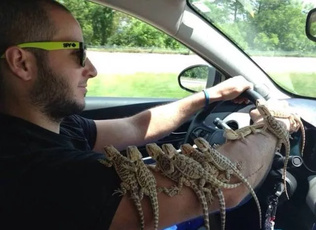 Picdump 249 - #12 