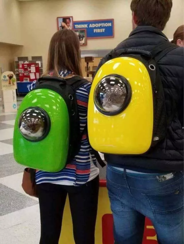 Picdump 249 - #14 