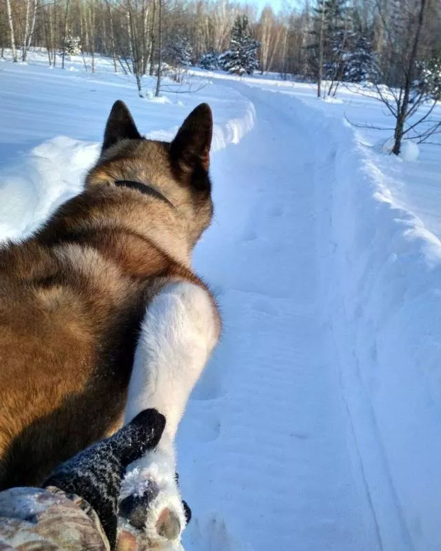 Picdump 249 - #43 