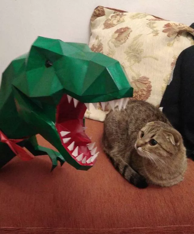 Picdump 249 - #5 