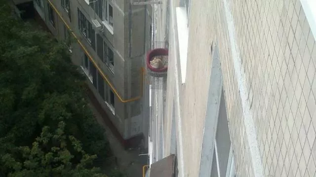 Picdump 249 - #51 