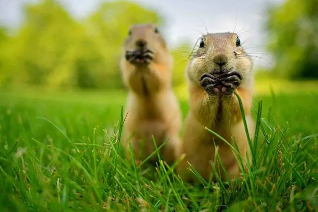 Picdump 249 - #70 