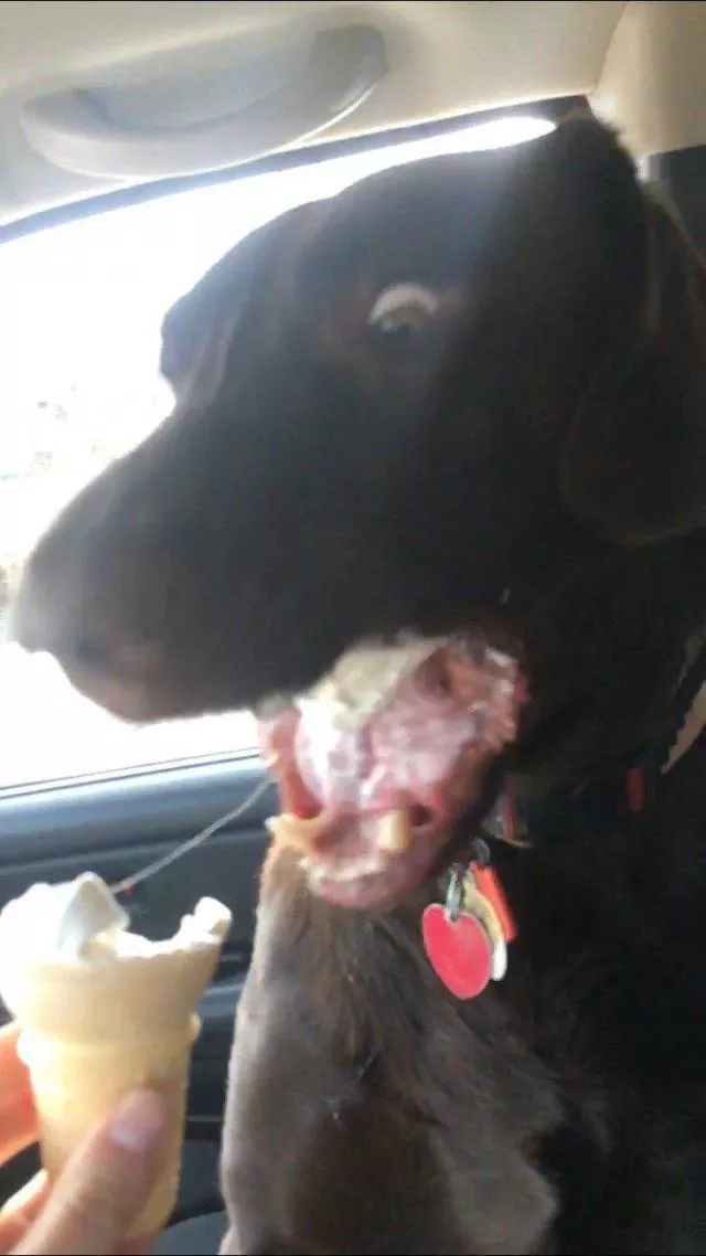 Picdump 249 - #72 