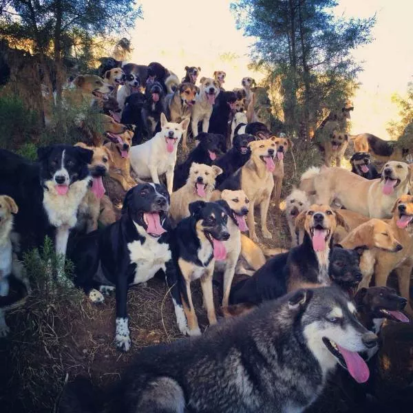 Picdump 249 - #77 