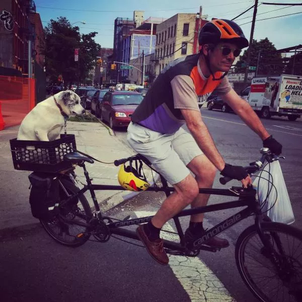 Picdump 249 - #92 