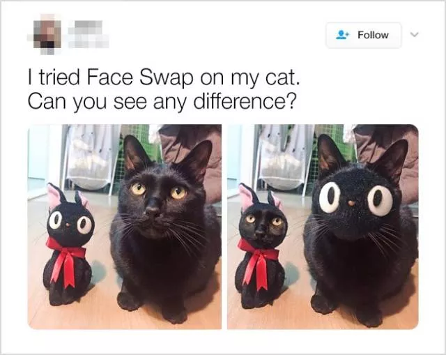 Cute and funny animals in pictures and videos - #17 